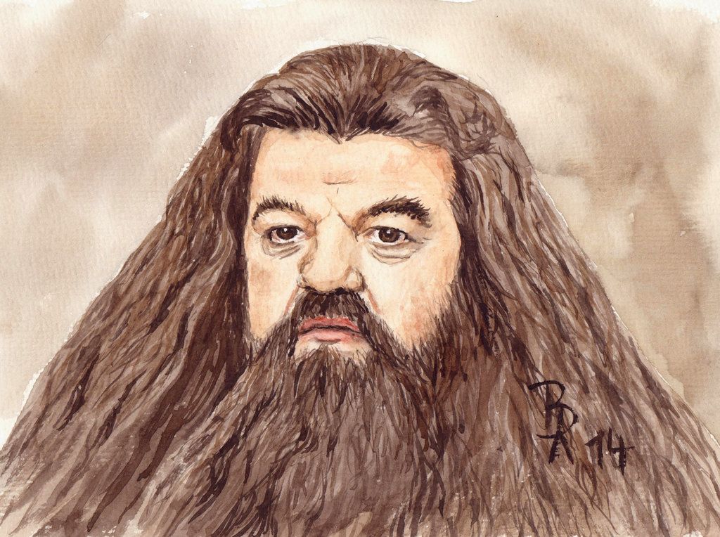 Rubeus Hagrid Drawing Amazing