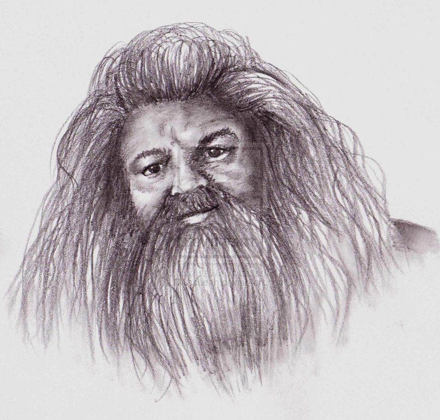 Rubeus Hagrid Drawing Art