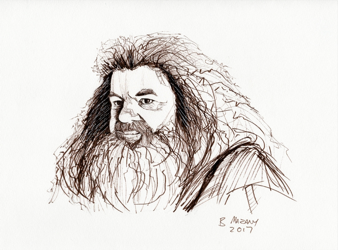Rubeus Hagrid Drawing Beautiful Art
