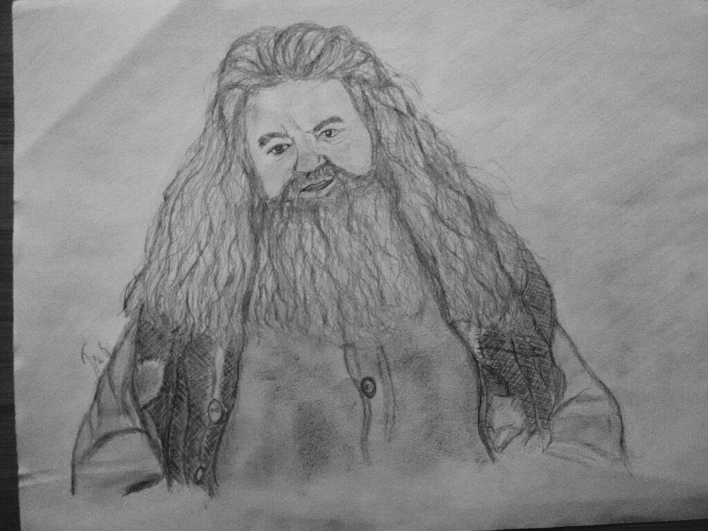 Rubeus Hagrid Drawing Pic