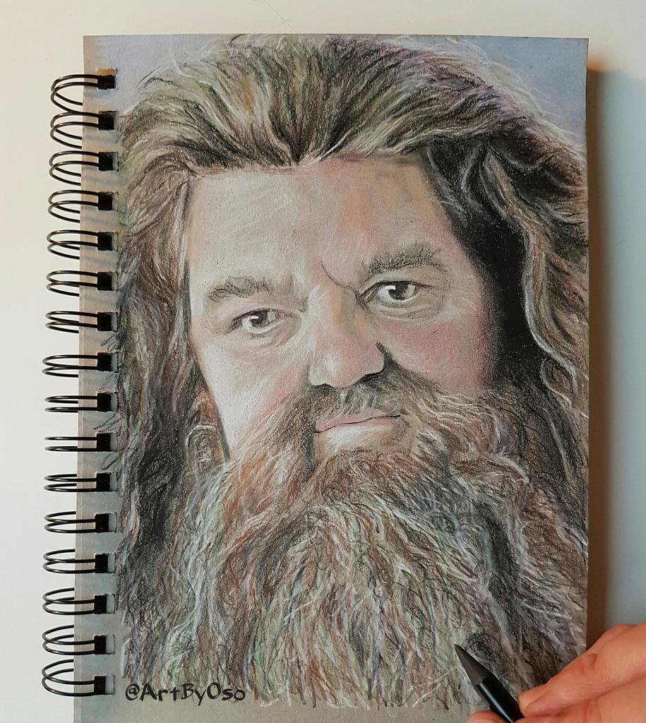 Rubeus Hagrid Drawing Realistic