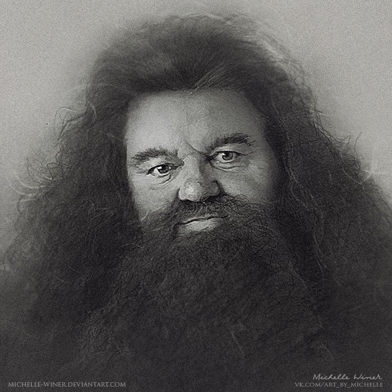 Rubeus Hagrid Drawing Sketch