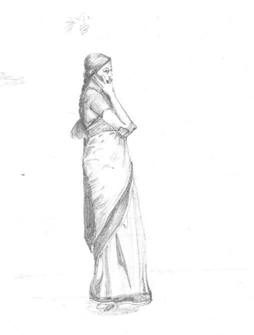 Saree Drawing Sketch