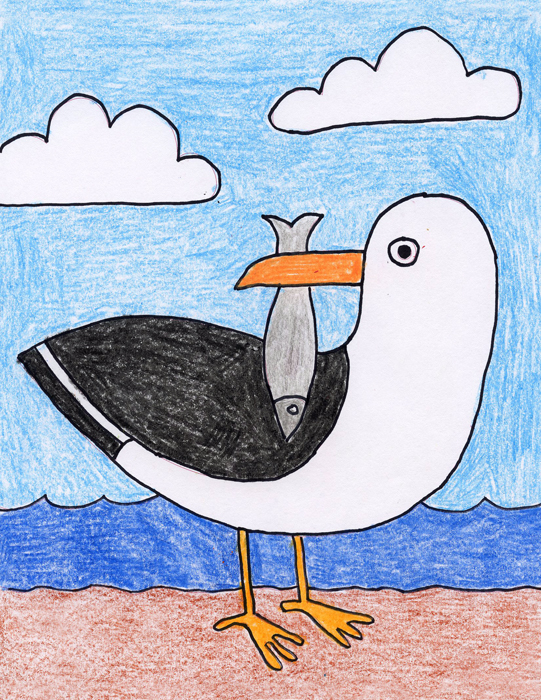 Seagull Drawing Picture