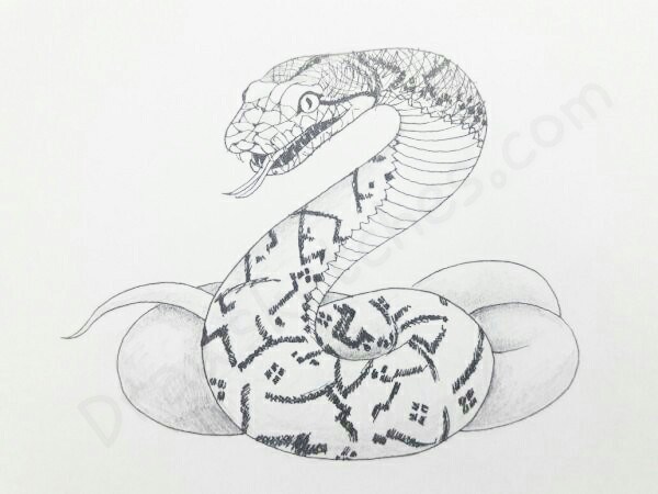 Serpent Drawing Amazing