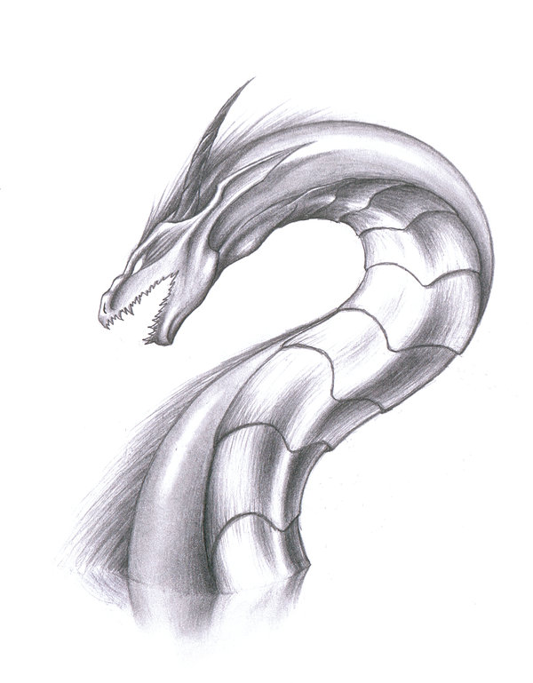Serpent Drawing Art