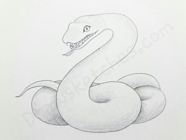 Serpent Drawing Best