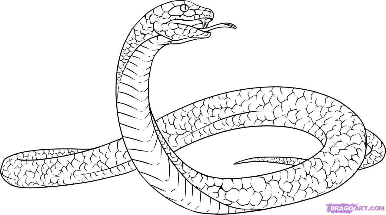 Serpent Drawing Pic