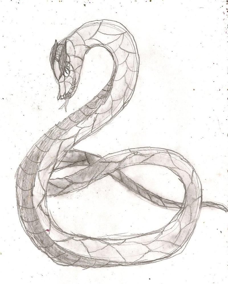 Serpent Drawing Sketch