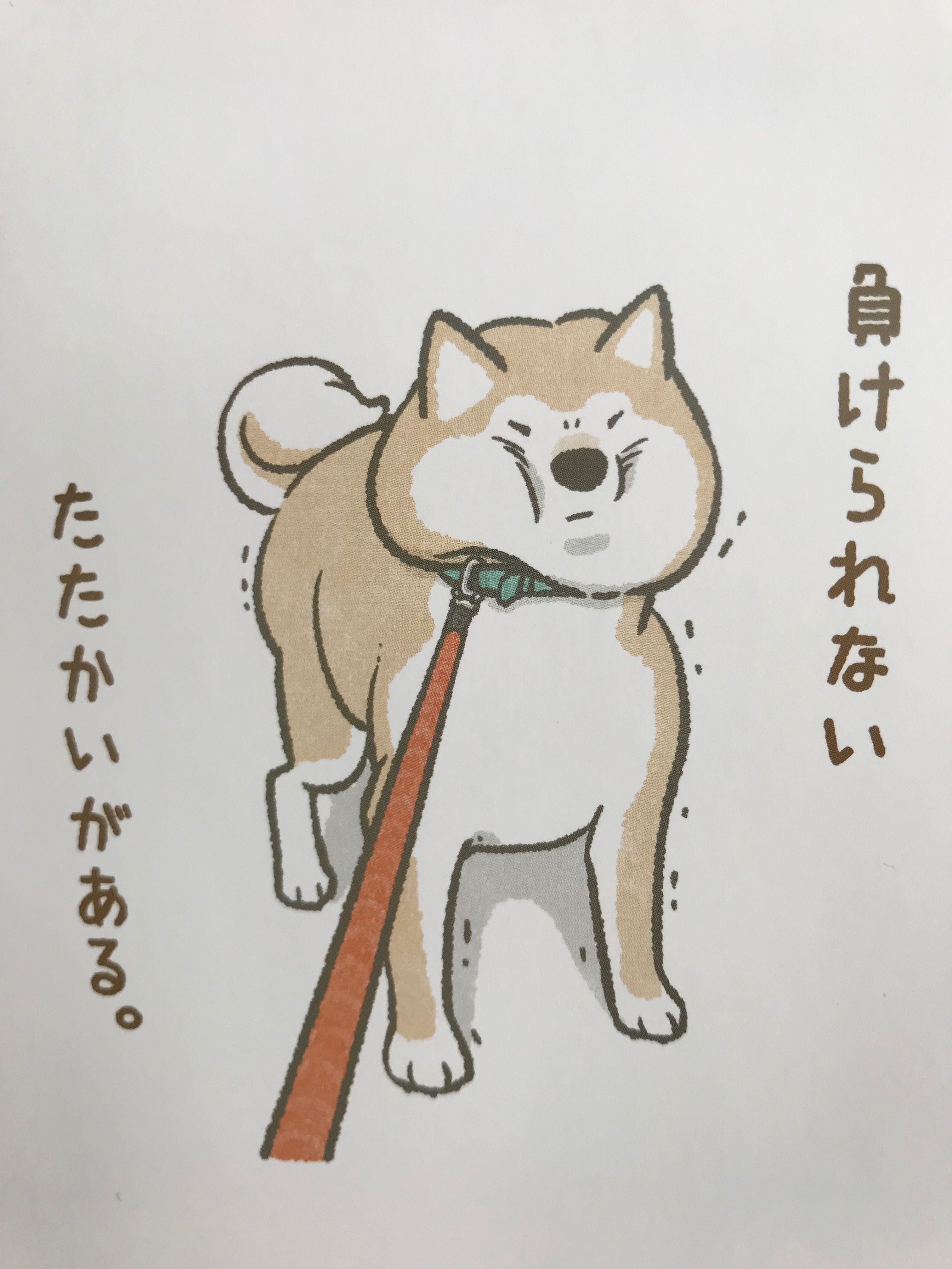 Shiba Inu Drawing Photo