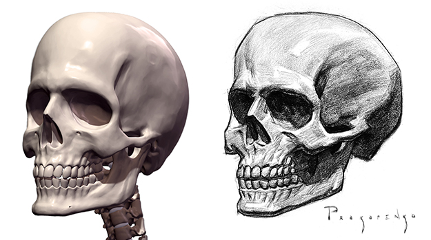 Skull Art Drawing