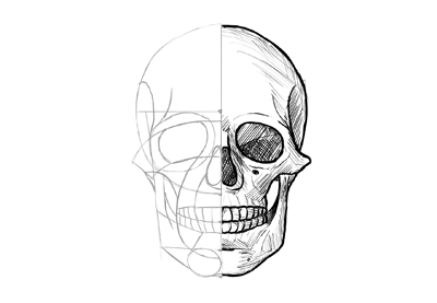 Skull Drawing High-Quality