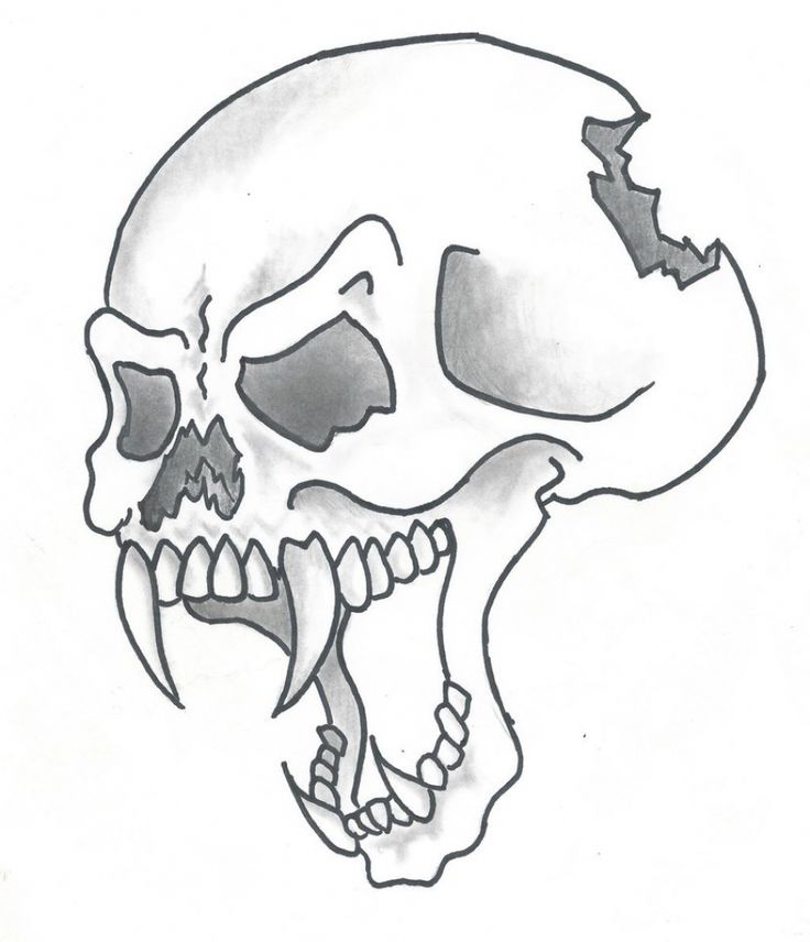 Skull Drawing Image