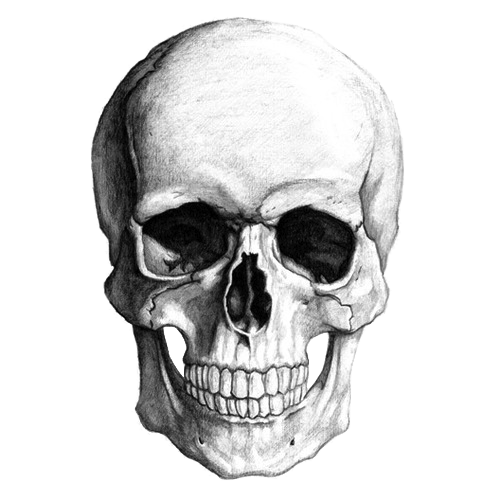 Skull Drawing Photo