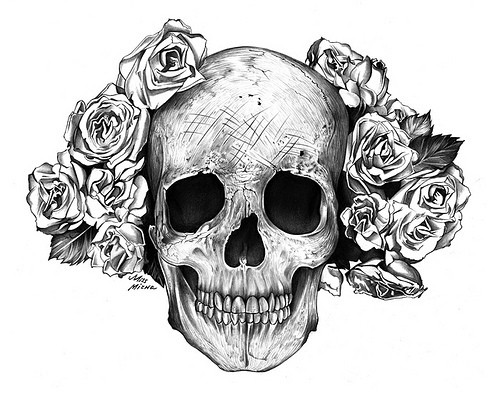 Skull Drawing Photos