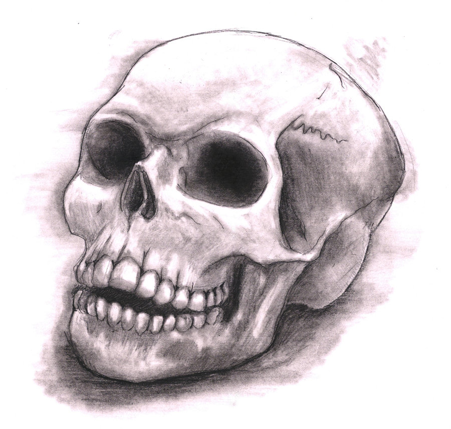Skull Head Drawing Amazing