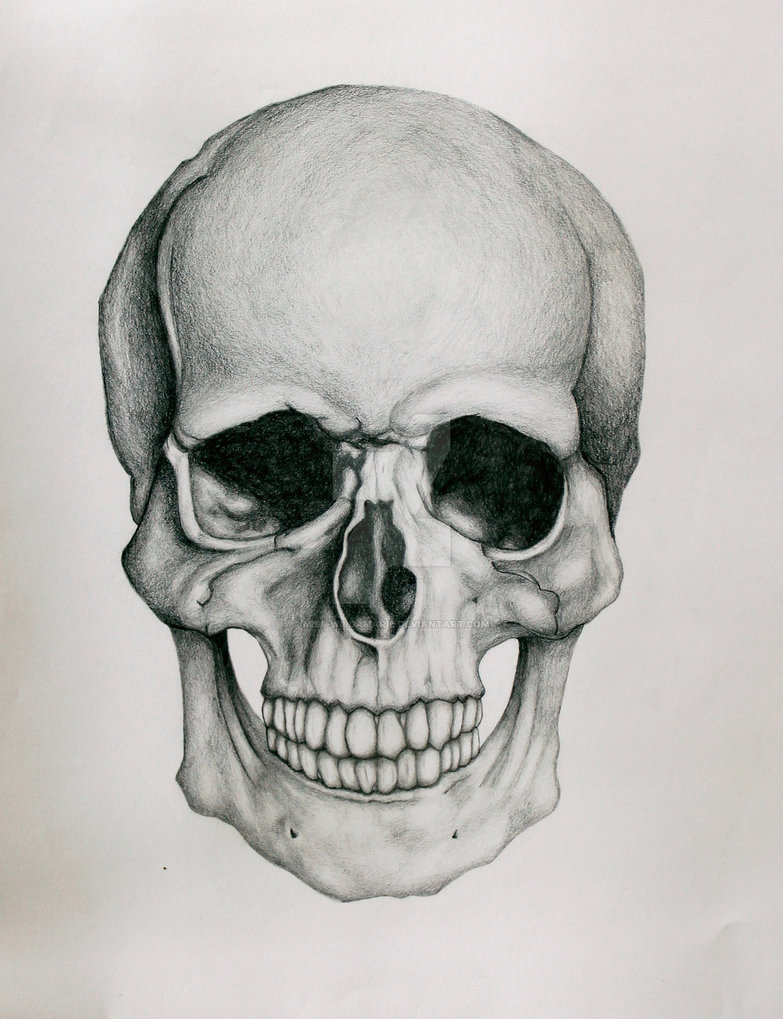 Skull Head Drawing Beautiful Image
