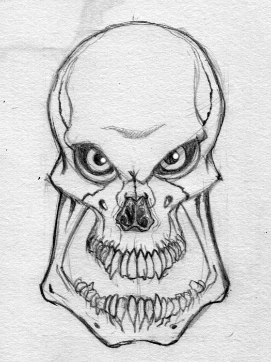 Skull Head Drawing Photo