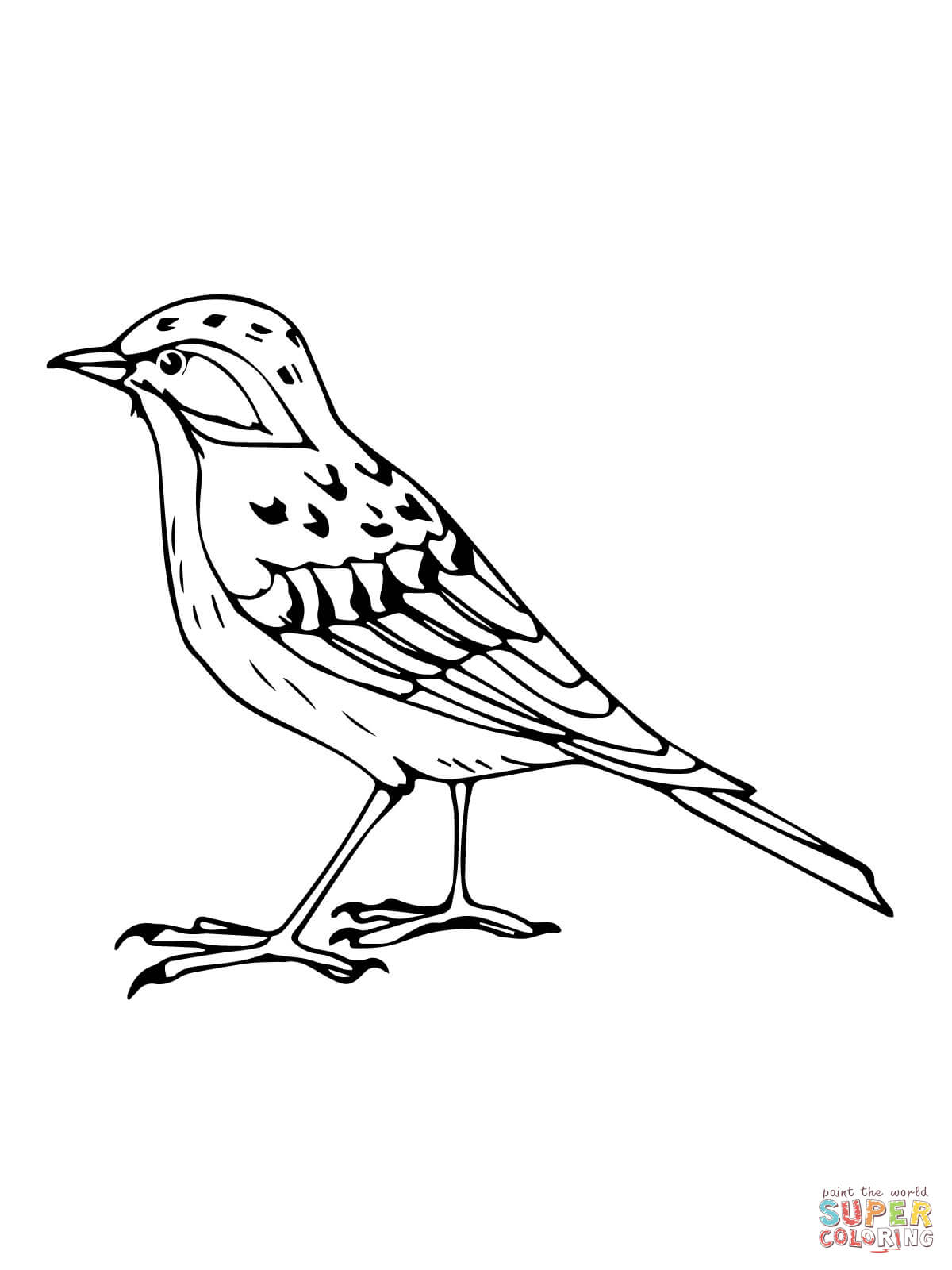 Skylark Drawing Picture