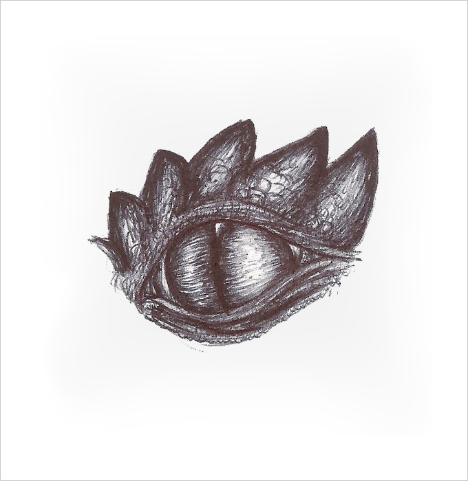 Smaug Dragon Eyes Drawing Image