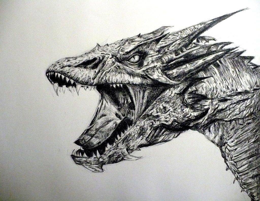 Smaug Drawing Best