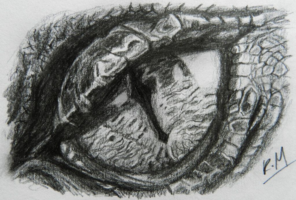 Smaug Drawing Photo