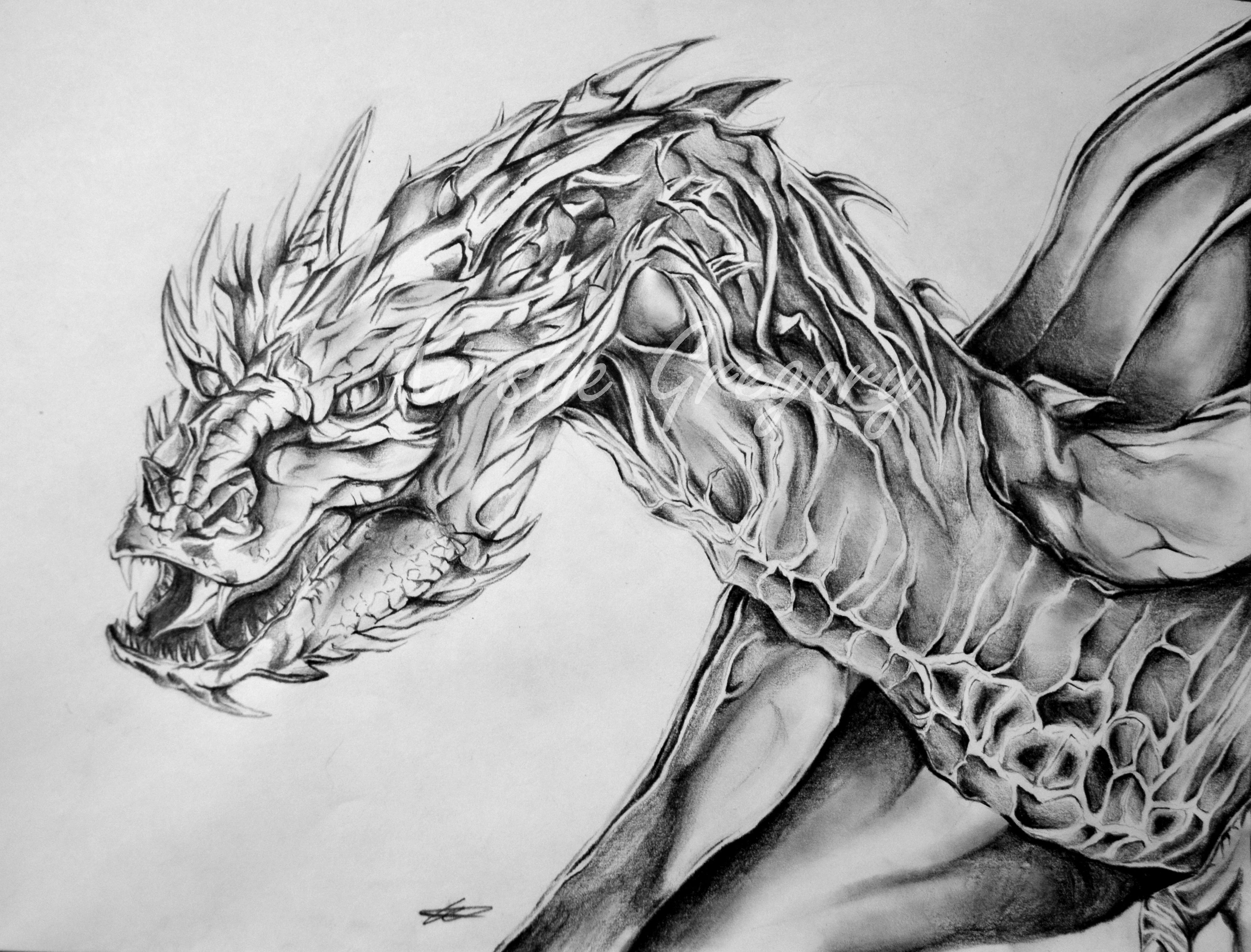 Smaug Drawing Pictures