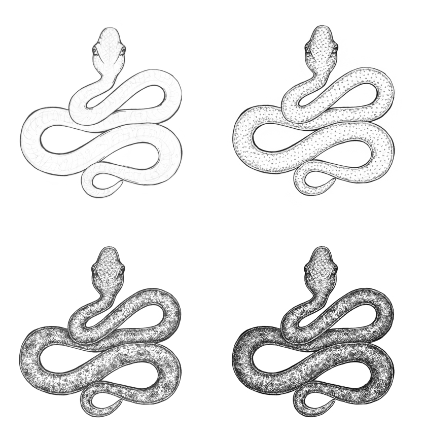 Snake Drawing Pic