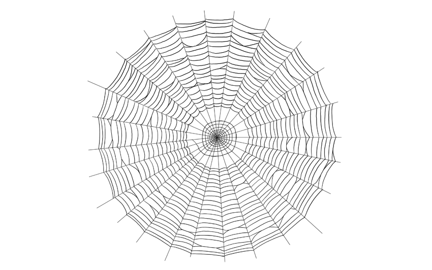 Spider Web Drawing Photo