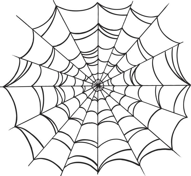Spider Web Drawing
