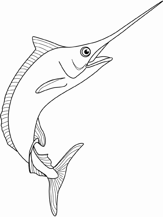 Swordfish Drawing Image