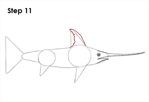 Swordfish Drawing Pics
