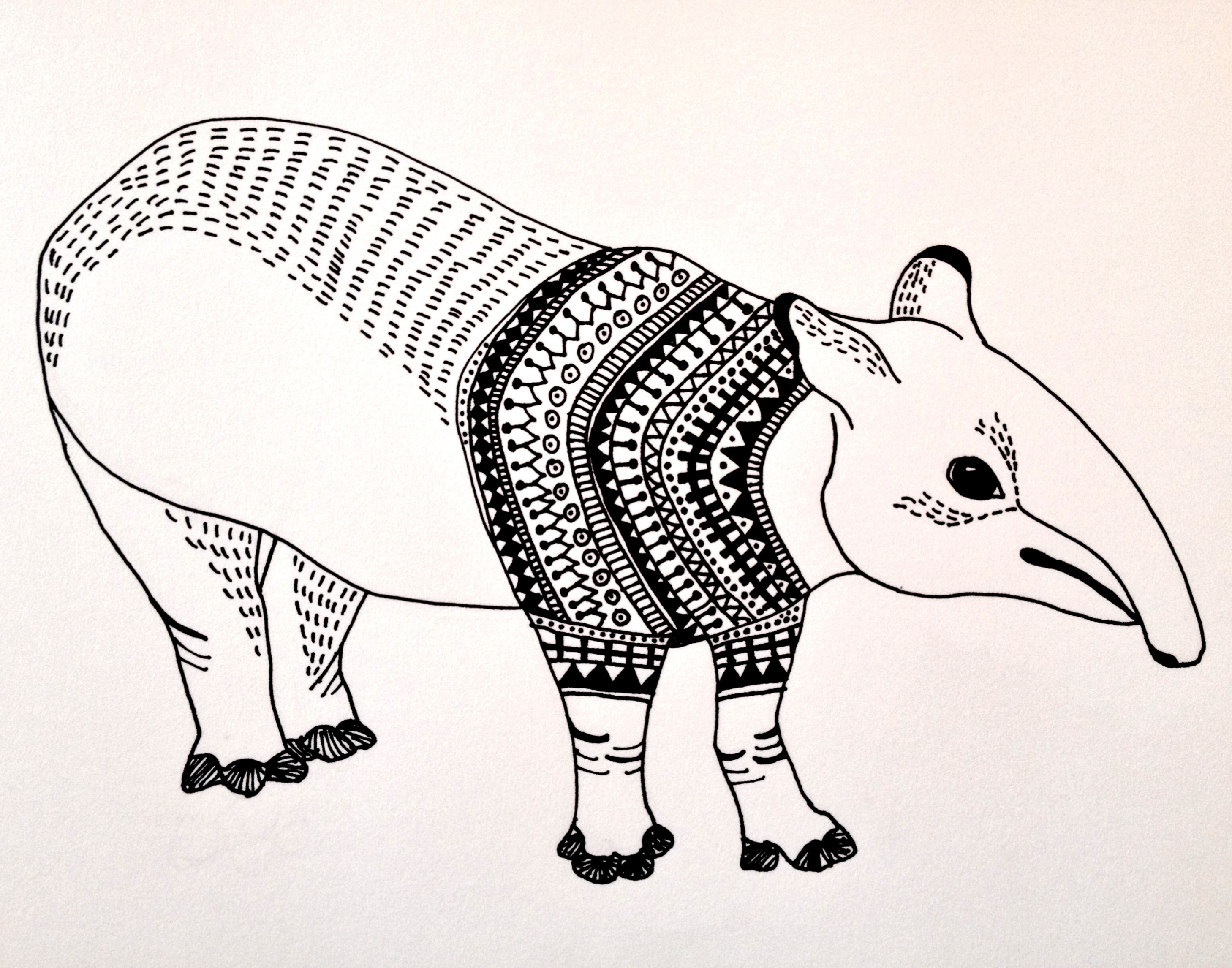Tapir Drawing Realistic