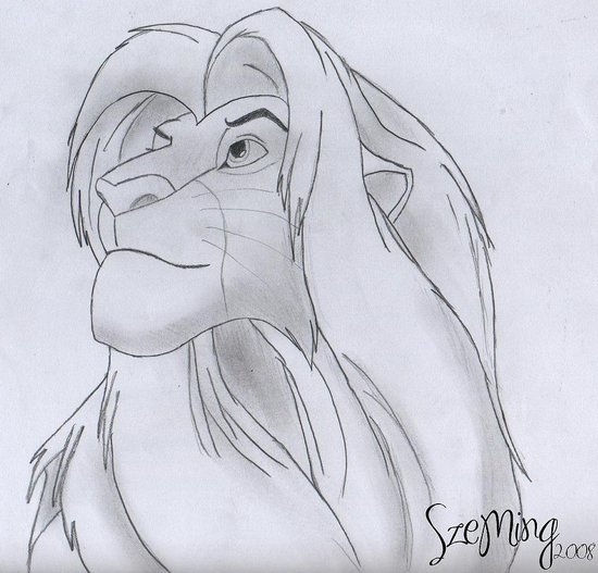 The Lion King Drawing Creative Art