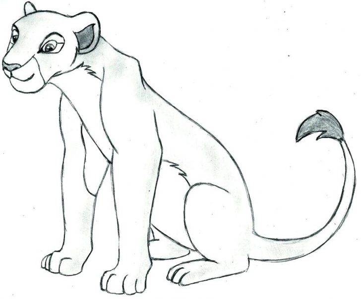 The Lion King Drawing Photo