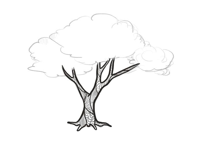 Tree Drawing Art