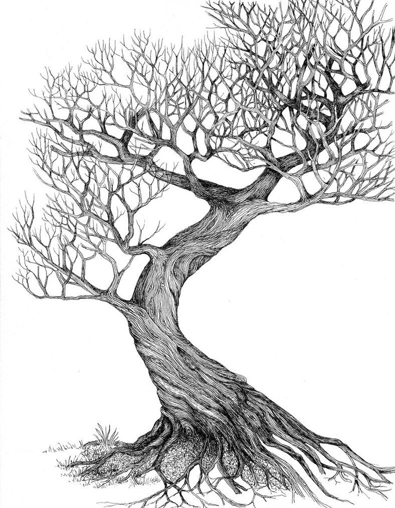 Tree Drawing Picture