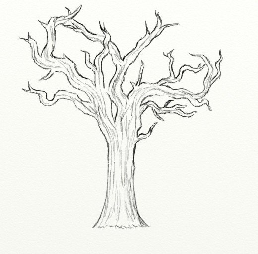 Tree Drawing Sketch