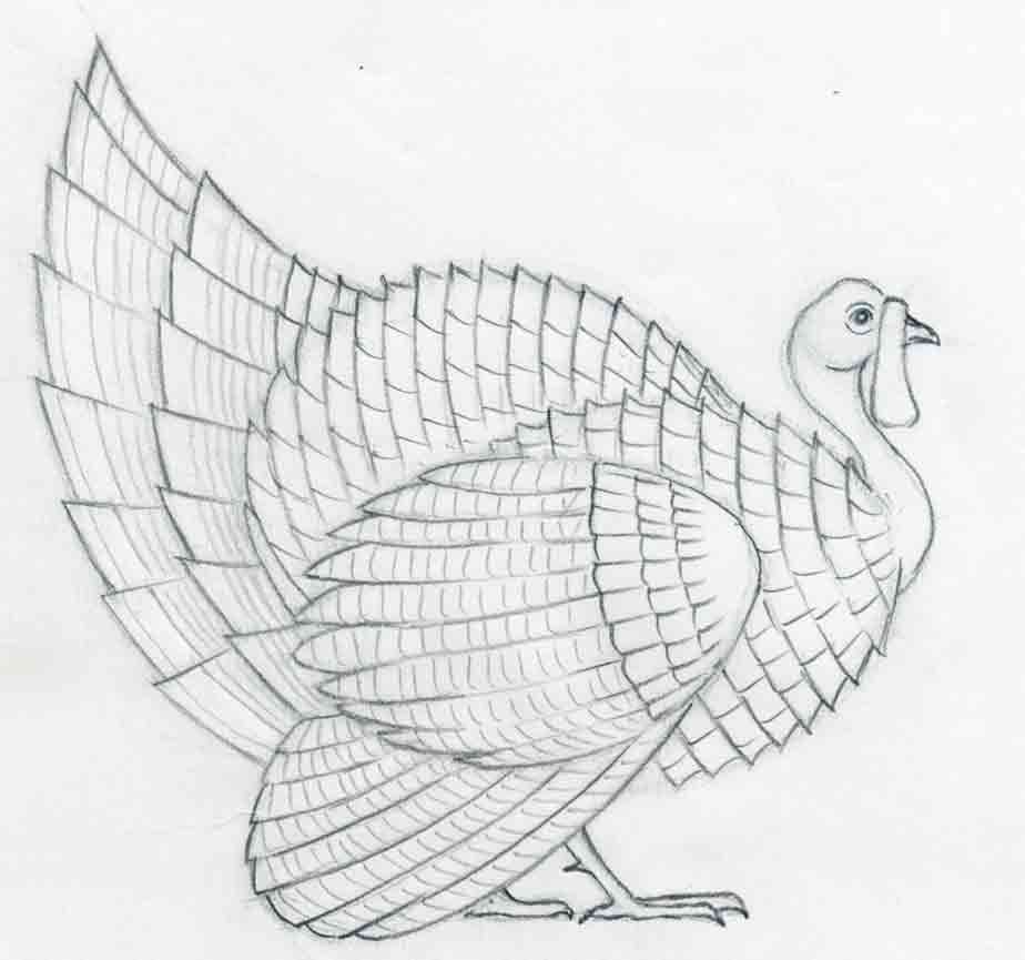 Turkey Bird Drawing Photo