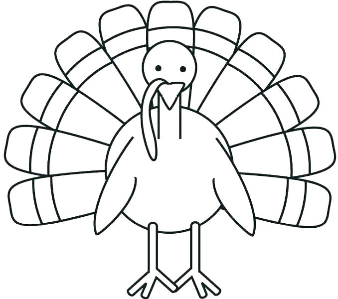 Turkey Bird Drawing Pictures