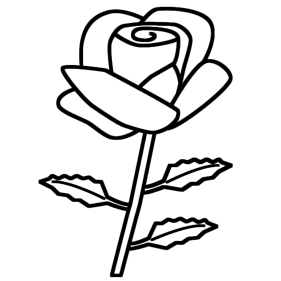 Valentines Day Rose Drawing Art