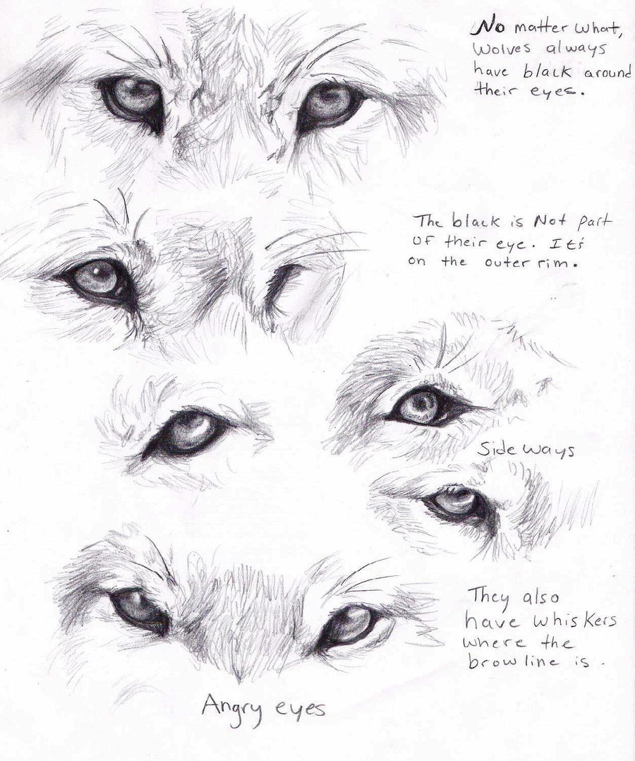 Werewolf Eyes Drawing Beautiful Image