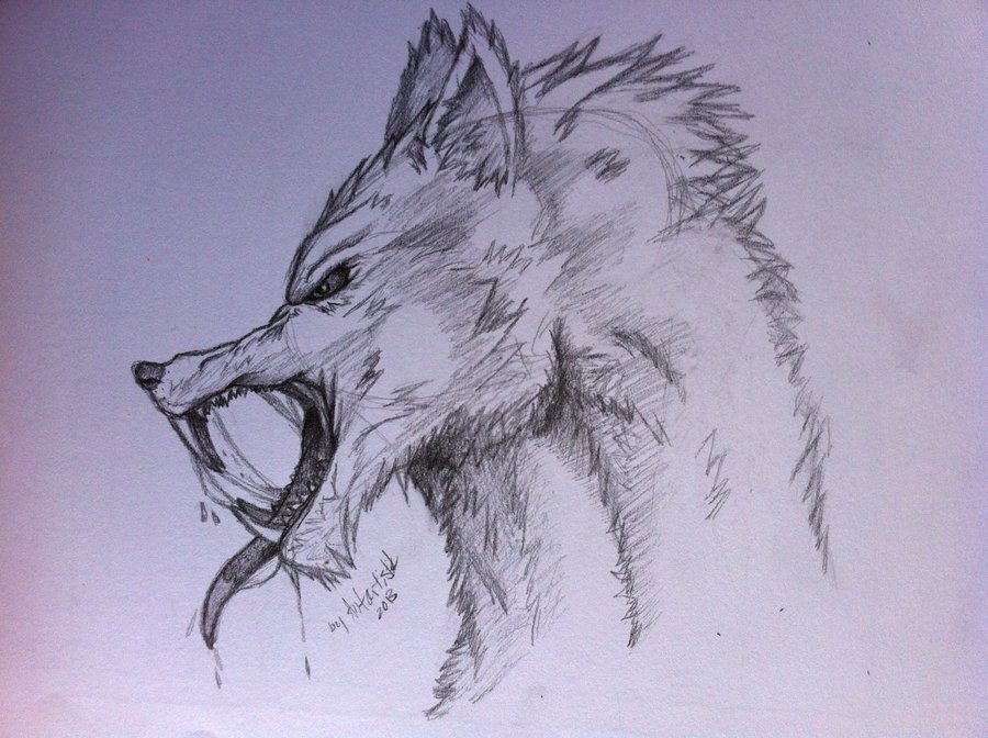 Werewolf Head Drawing Amazing