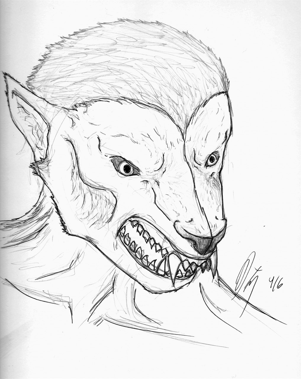 Werewolf Head Drawing Pics