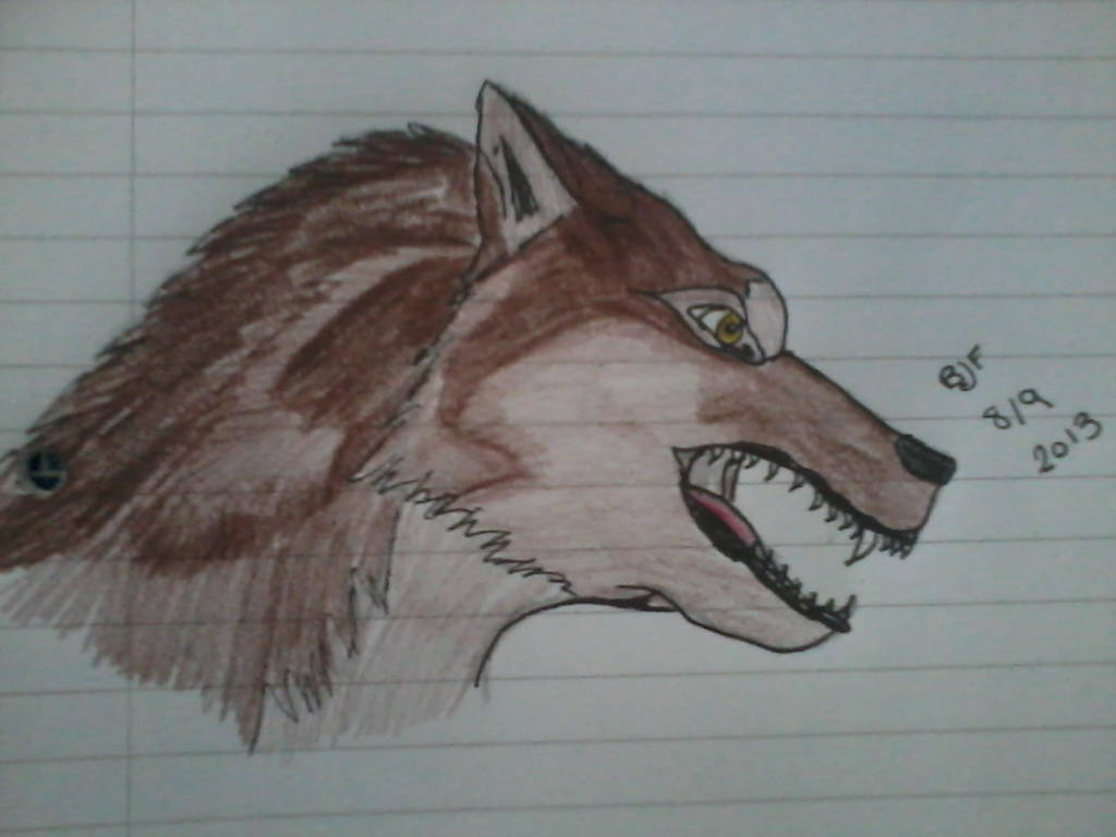 Werewolf Head Drawing Pictures