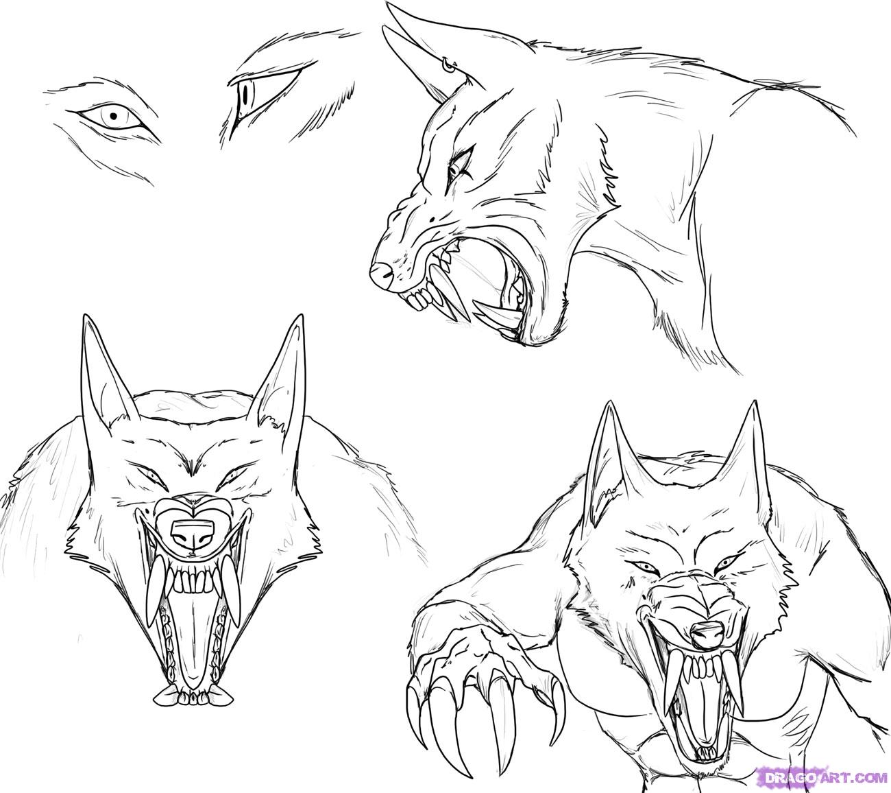 Werewolf Head Drawing Realistic