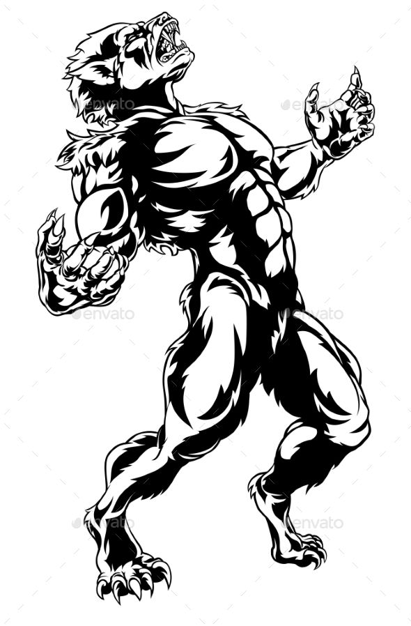 Werewolf Head Drawing