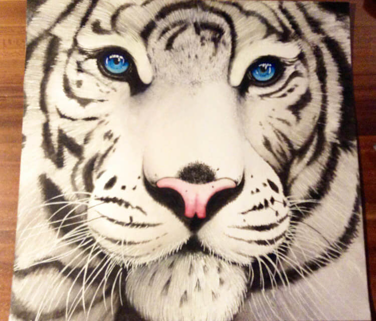 White Tiger Drawing Art