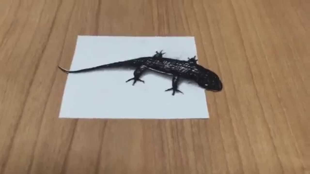 3D Lizard Drawing Art