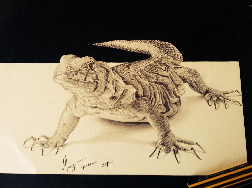 3D Lizard Drawing Image